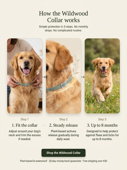 Bramble WildWood Collar™ — Flea & Tick Prevention Collar for Dogs