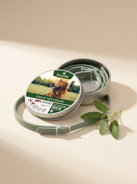 Bramble WildWood Collar™ — Flea & Tick Prevention Collar for Dogs