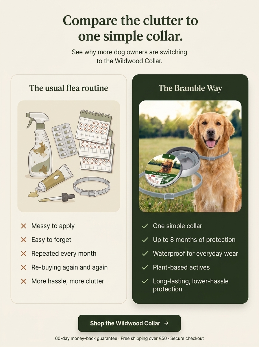Bramble WildWood Collar™ — Flea & Tick Prevention Collar for Dogs