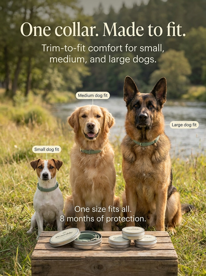 Bramble WildWood Collar™ — Flea & Tick Prevention Collar for Dogs